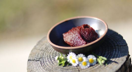 Mise en scène de gochujang dans la nature